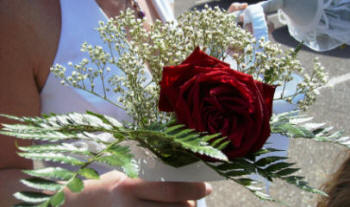 Dorothy's bouquet, like Dorothy, was lovely.