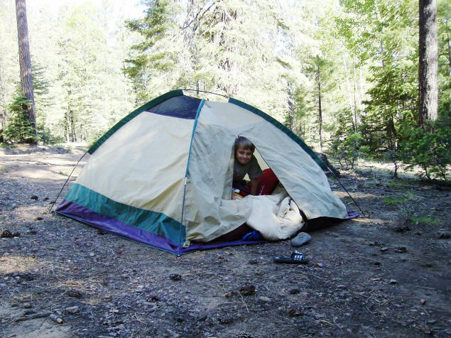 Zach awakens to tall trees.