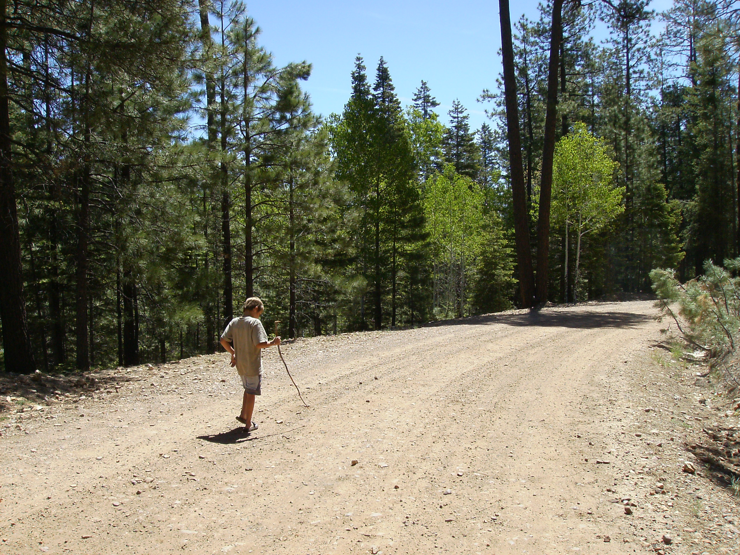 On the road to Bear Canyon Lake.