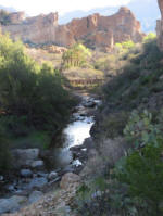 Boyce Thomspon Arboretum