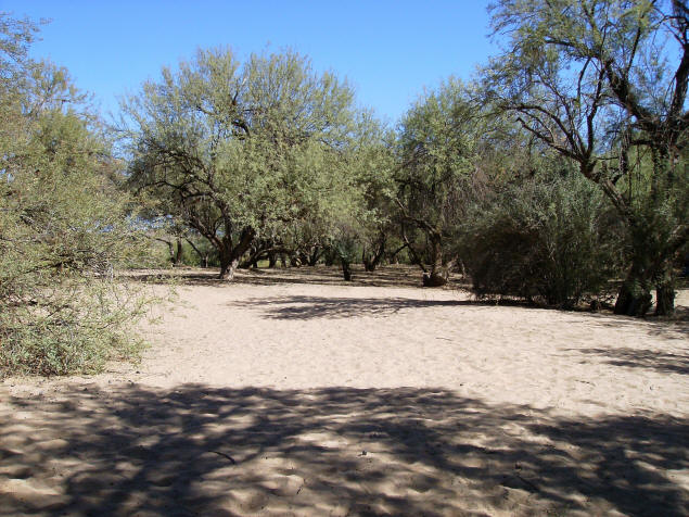 Coon Bluff campground in the daytime.
