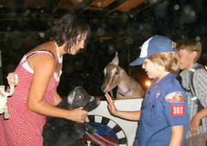 Alison Stechnij introduces Zach to Oreo, the Nigerian Dwarf goat.