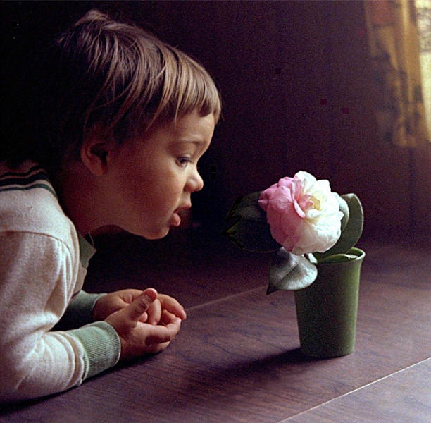 Johnny examines a magnolia blossom.