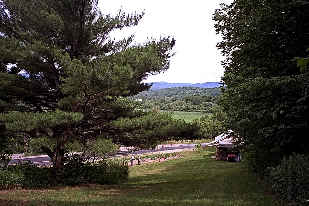 Cousin Malcolm's land, taken by me just before I disappeared for two hours.