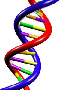 Representation of DNA, the building blocks of all life on Earth.<br>&nbsp;