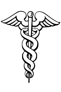 The modern symbol of medicine, derived from Enki's symbol.<br>&nbsp;