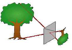 How a pinhole camera works.
