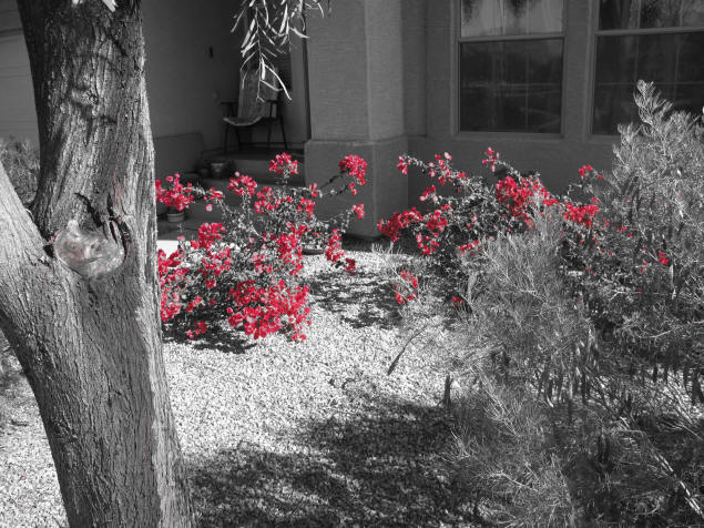 Example of Canon Powershot G10's 