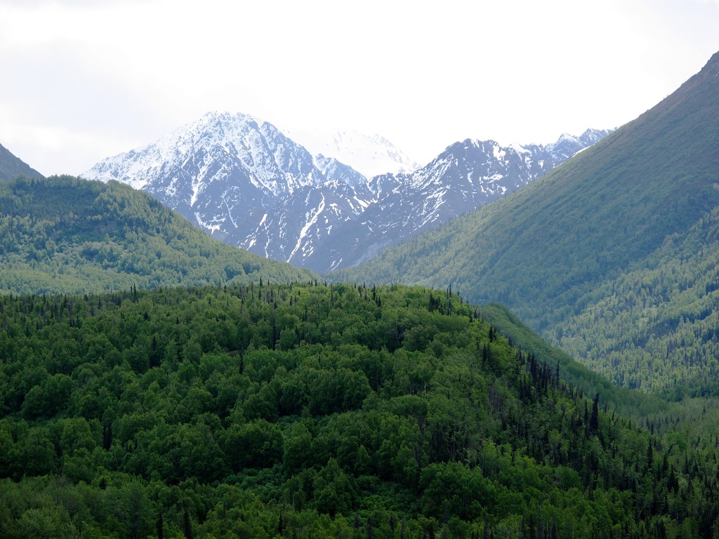 Ice-covered peaks poked above all in every direction.