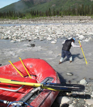 Jules measures the depth of the river braid.