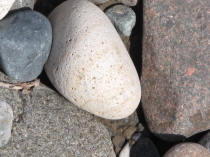 Nizina River rock.