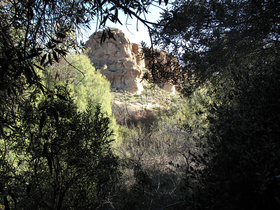 Looking up at the High Trail.