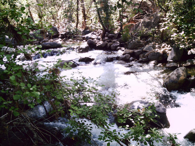 Fossil Creek: Looking upstream