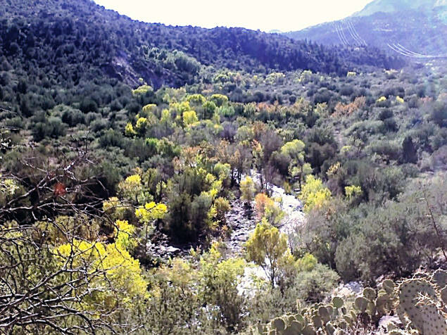 The sun glistening on Fossil Creek.
