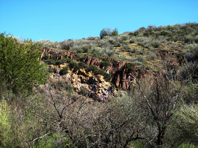Sere beauty in the wilderness.