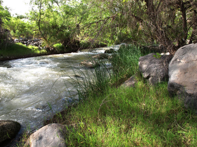Downstream of our camp: A wild child of a river.