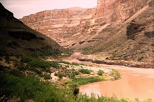 Brown water.