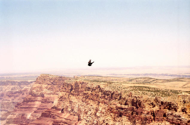 A bird's-eye view of a bird's-eye view.