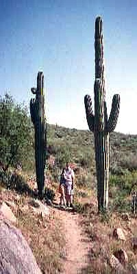 Chelsea, Carol, and two very tall Saguaro