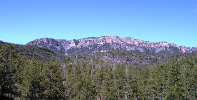 The Mogollon Rim towers above the forests below.