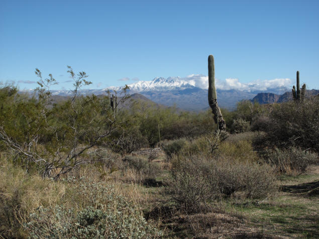 Four Peaks with a snowy cap.
