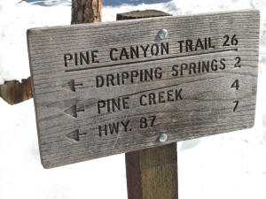 Pine Canyon Trail signpost.
