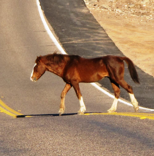 A straggler.