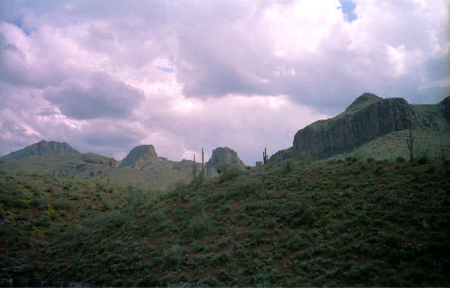 An exuberant spring in the Superstitions.