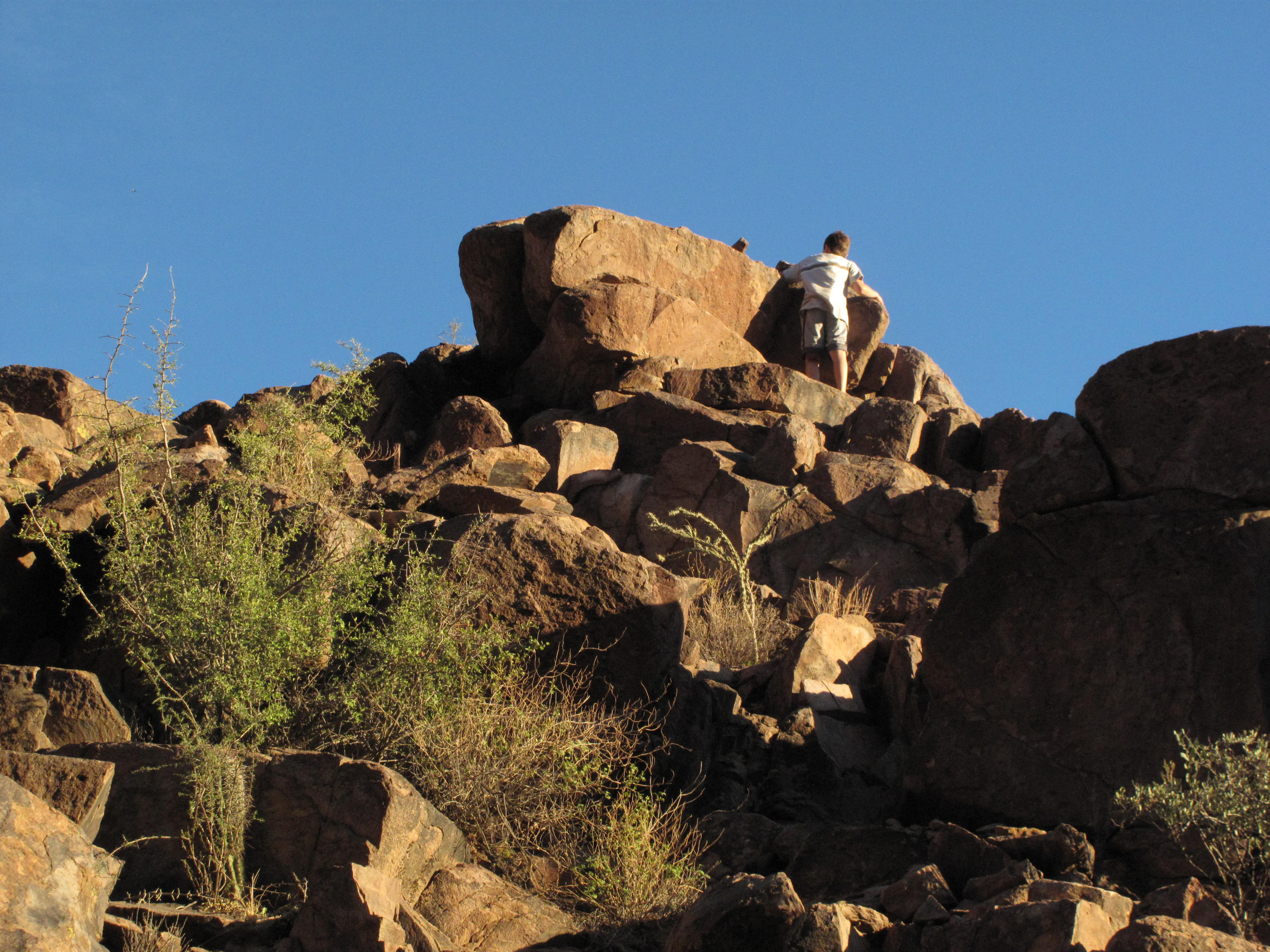 A side climb for the boys.