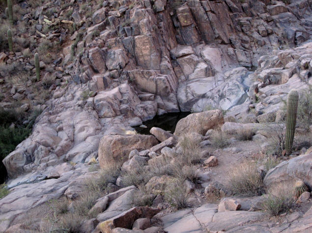 Hieroglyphic Spring