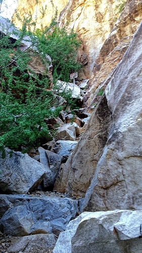 White Tank Mountain Regional Park