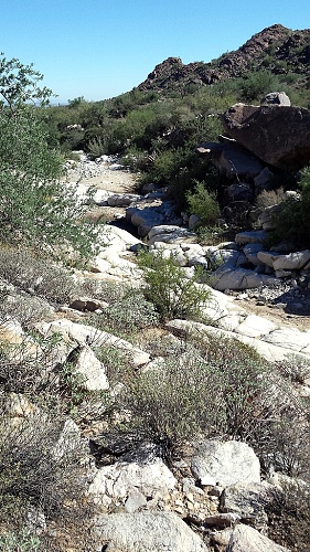 This depression in white granite is a tank.