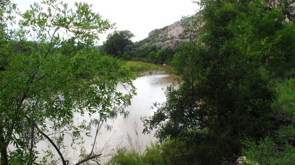 Verde River near Montezuma's Castle