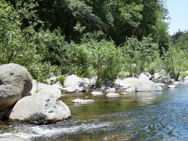 A creek runs through it.
