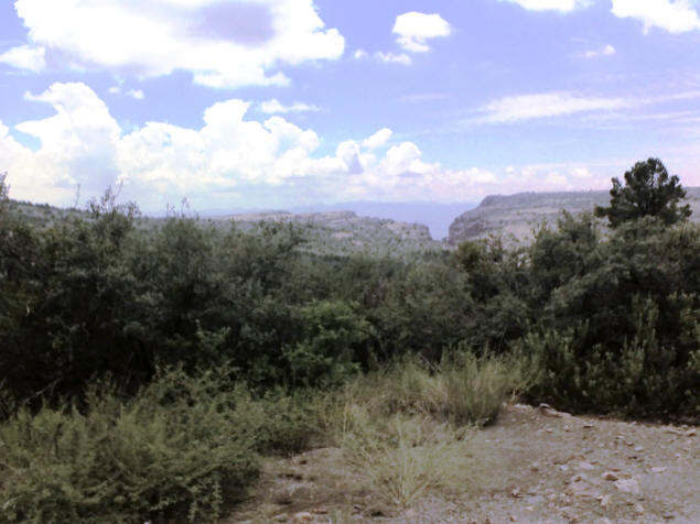 Greenery smothers the usually harsh rocks.