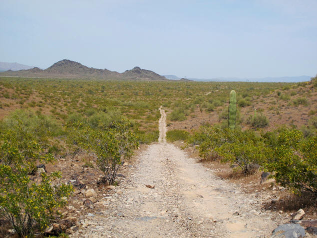 The 4WD road around Saddle Mountain.
