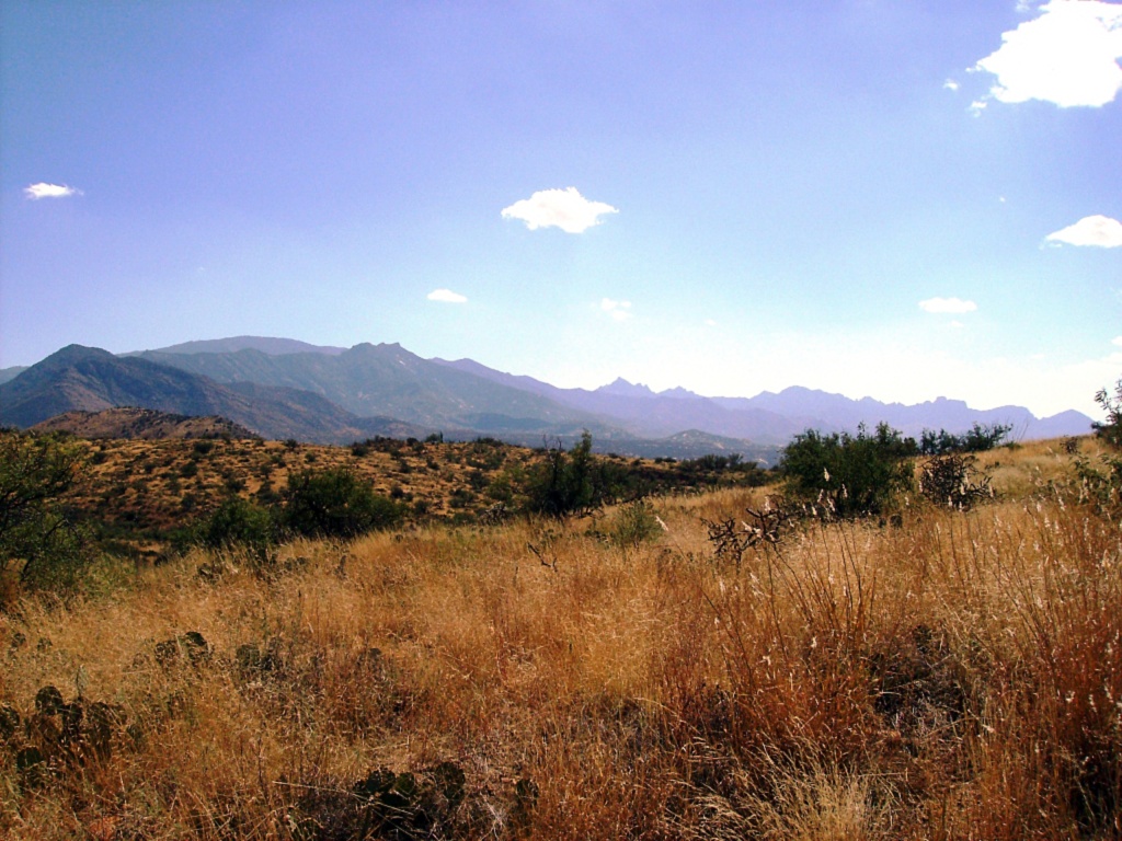 The Sonoran