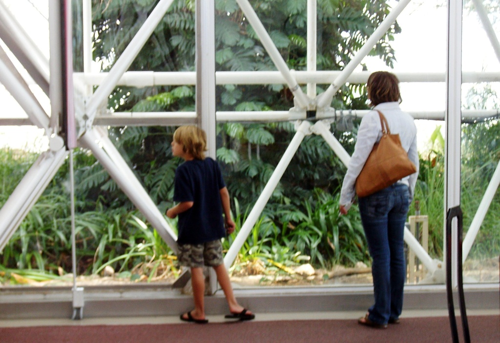 Zach and Mary gaze into the terrarium.