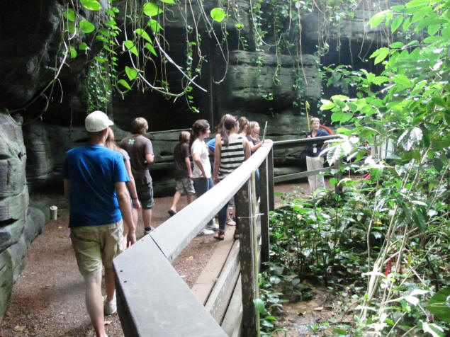 Biosphere 2's rain forest.