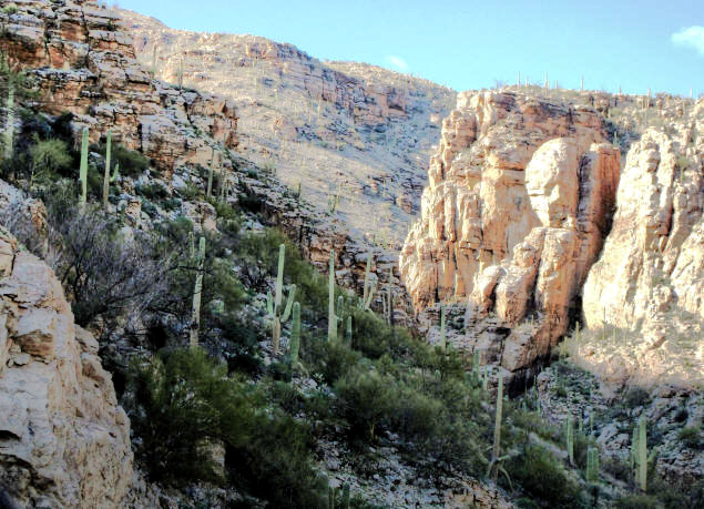 Side canyons of Mount Lemmon.