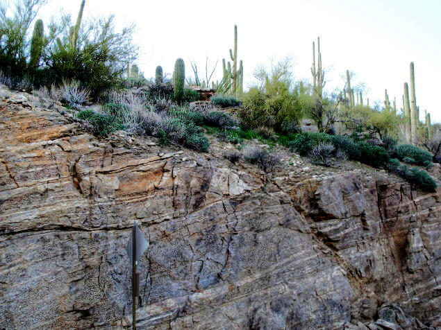 Limestone layers of Mount Lemmon.