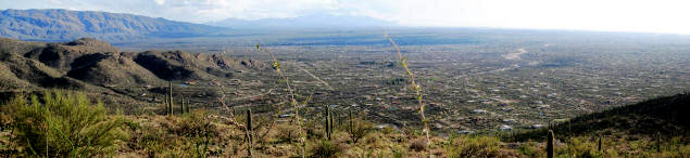 Tucson from Mount Lemmon.