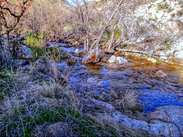 Stream in Morino Canyon
