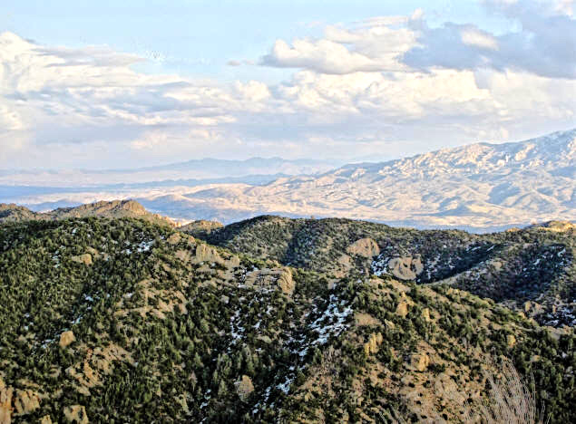 All the environmental zones of Mount Lemmon in view at once.