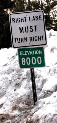Elevation 8000 Feet