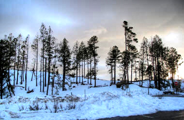 Elevation 8000 Feet