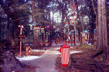'Santa's South Pole' is part of the attraction