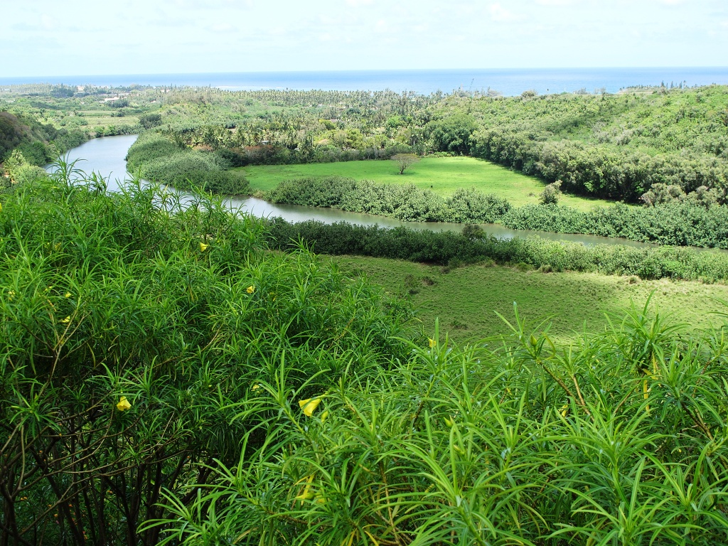 The Wailua River meets the sea.