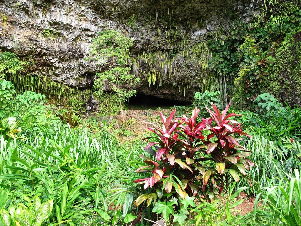 The Fern Grotto.