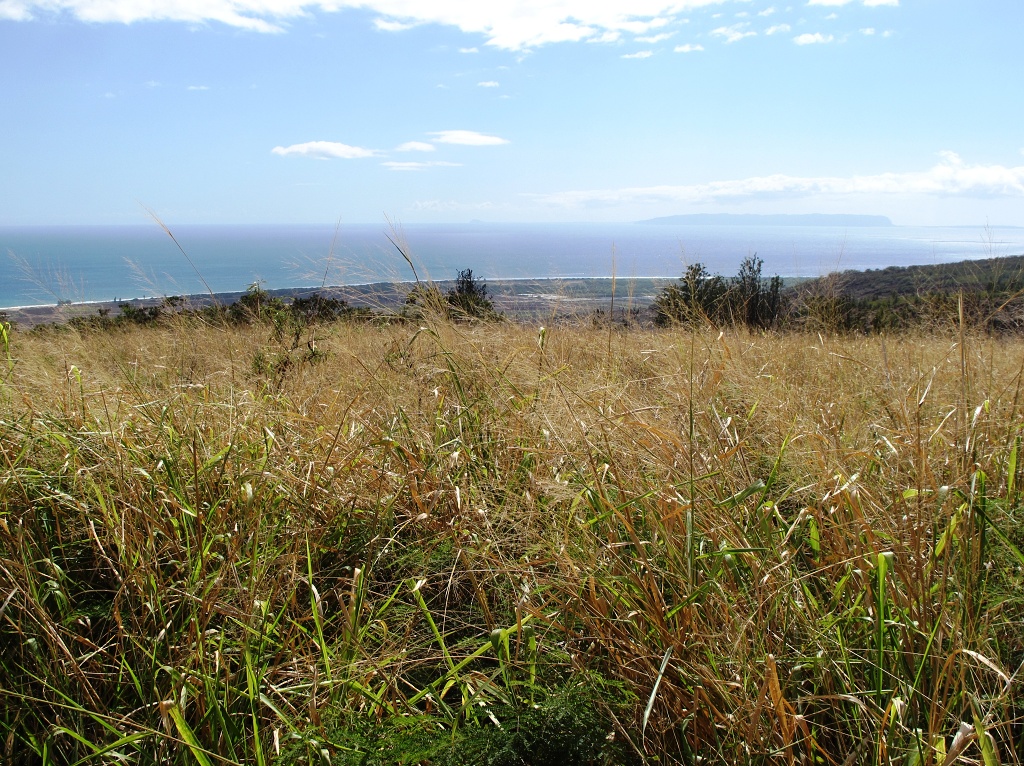 The western side of Kauai is a lot drier than the eastern side.